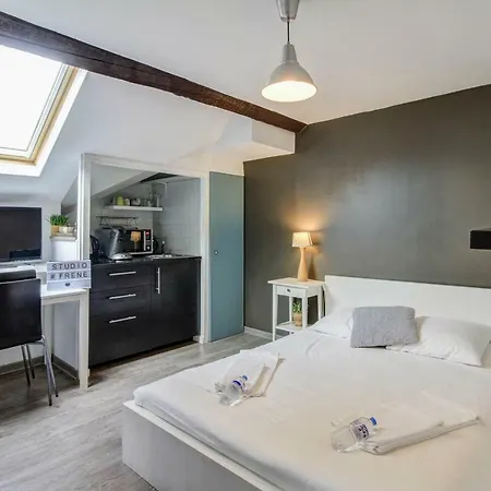 Apartment Studio Le Frene Dijon